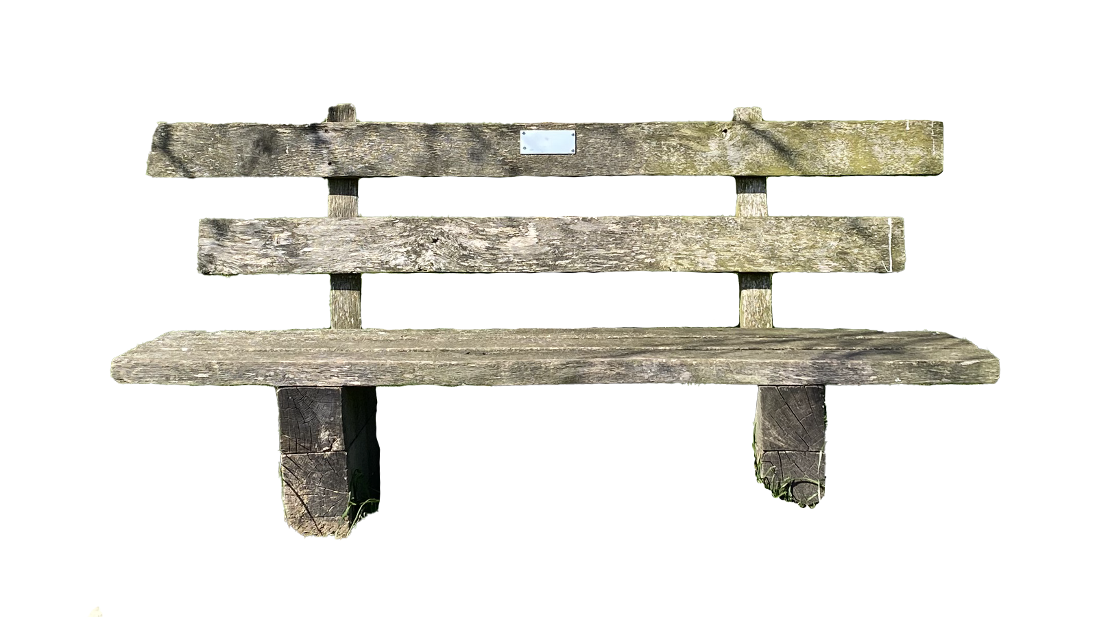 Banc Foret 7