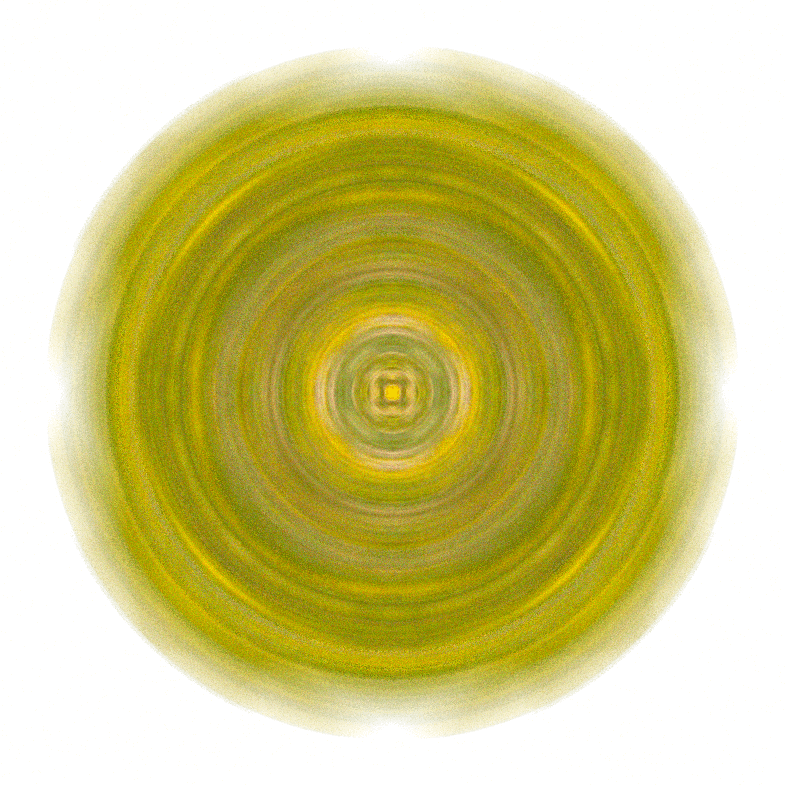 Image 30
