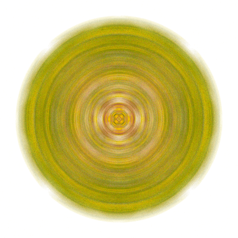 Image 31
