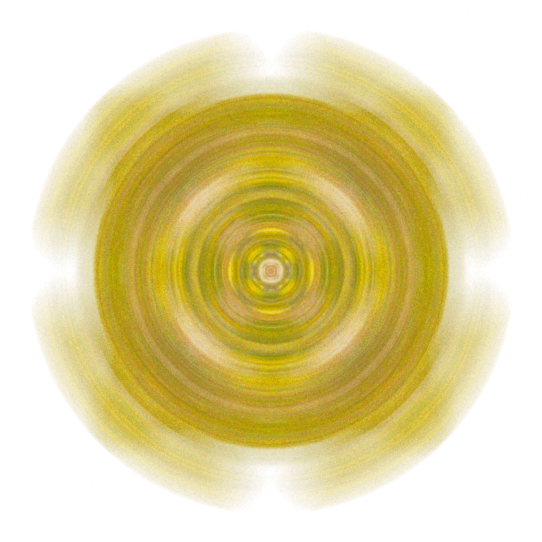 Image 33