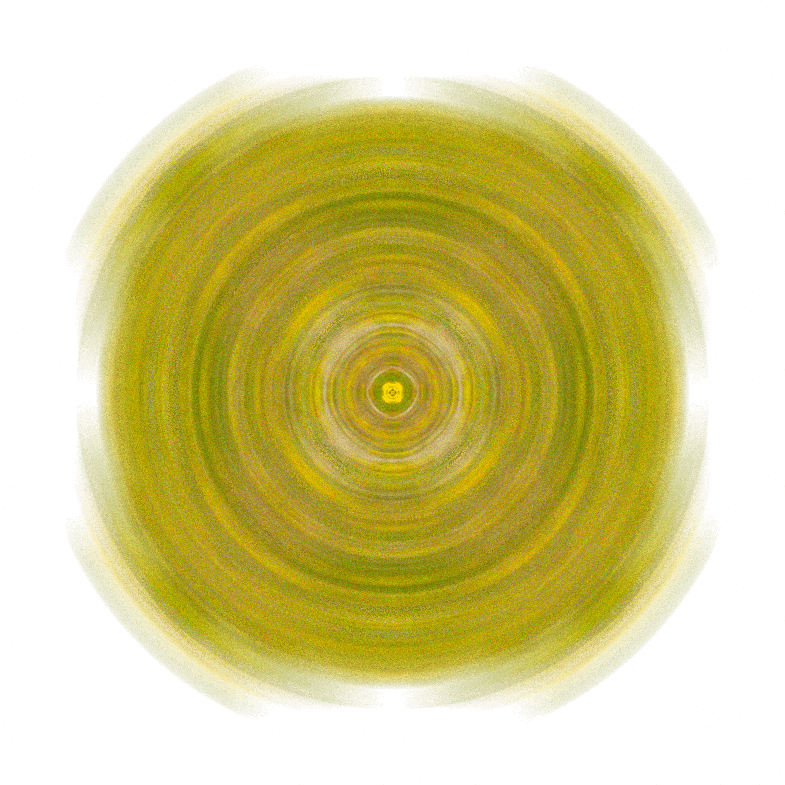 Image 37