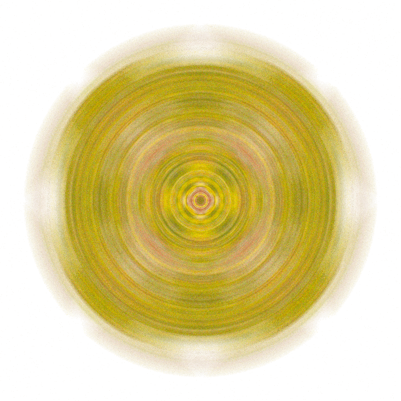 Image 39