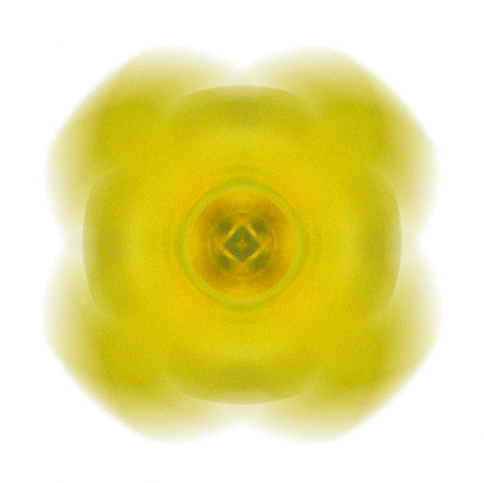 Image 26