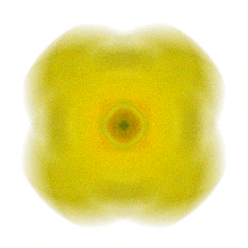 Image 32