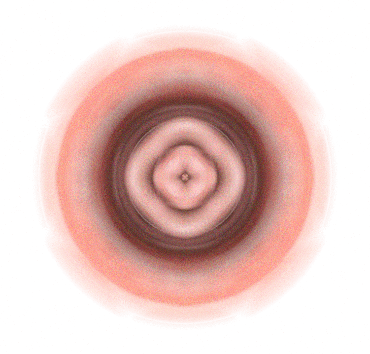 Image 29