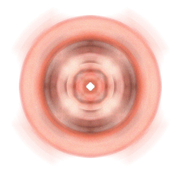 Image 31