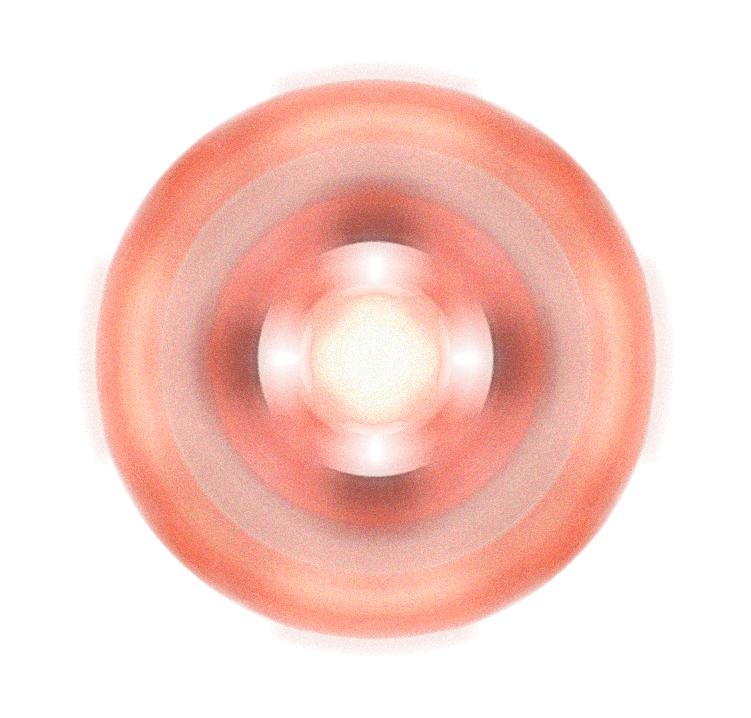 Image 33