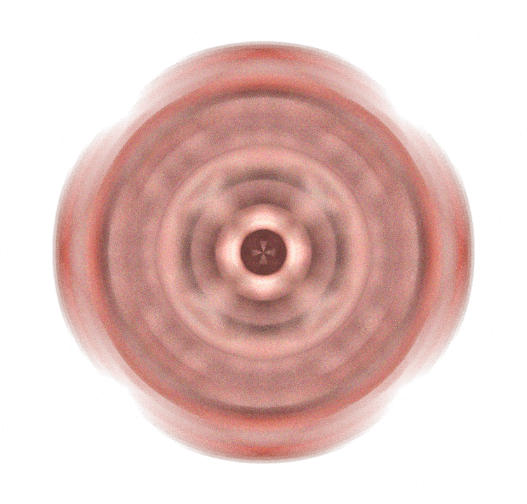 Image 36