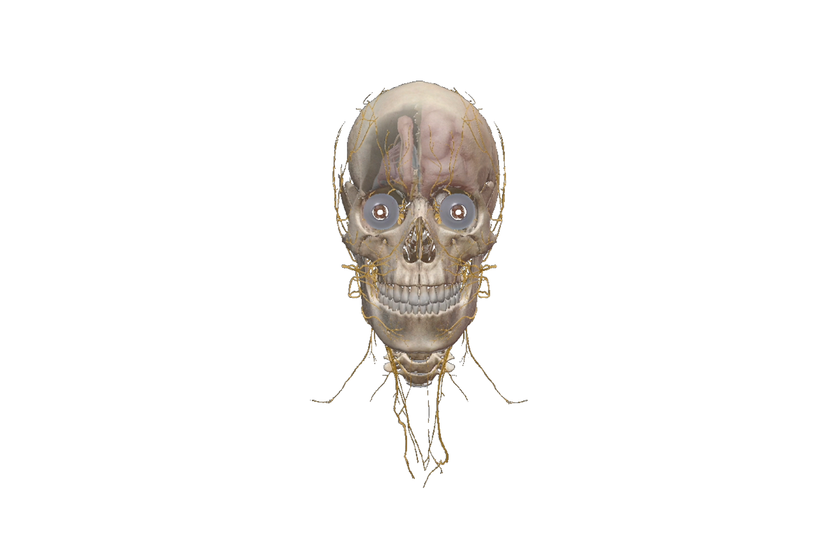 Neurodegenerative diseases sequence